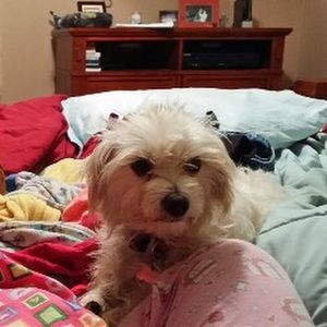 Meet your Posher, Rebecca